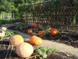 DSC05468.JPG