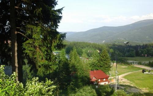 2017-06-20 20.25.57.jpg