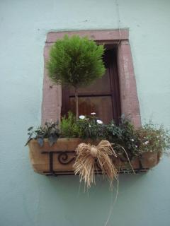 DSC05760.JPG
