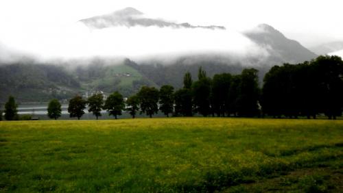 2016-05-14 17.29.43.jpg