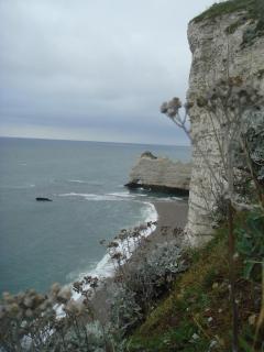 DSC05271.JPG