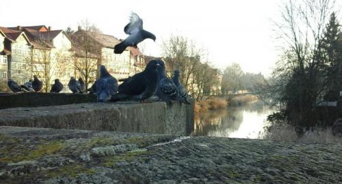 2016-12-30 14.30.42.jpg