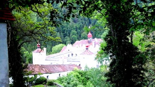 2016-05-16 16.57.22.jpg