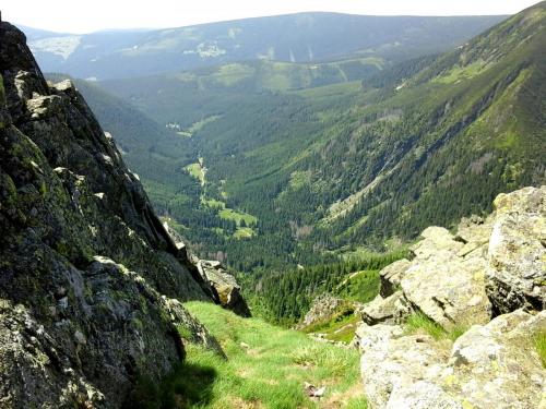 2017-06-22 17.11.36.jpg