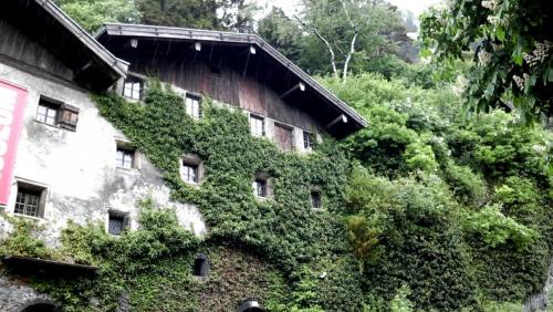 2016-05-13 14.13.40.jpg