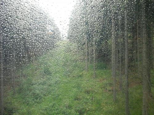 2017-06-23 19.17.15.jpg