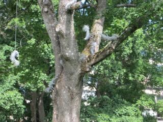 IMG_0224.JPG