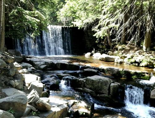 2017-06-22 17.18.38.jpg