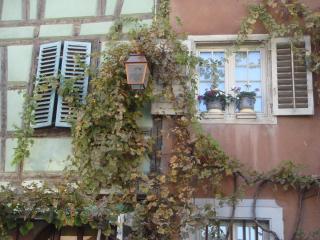 DSC05761.JPG