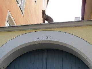 IMG_1197.JPG