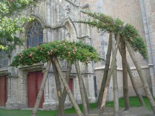 DSC05242.JPG