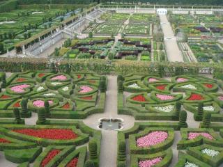 DSC05400.JPG