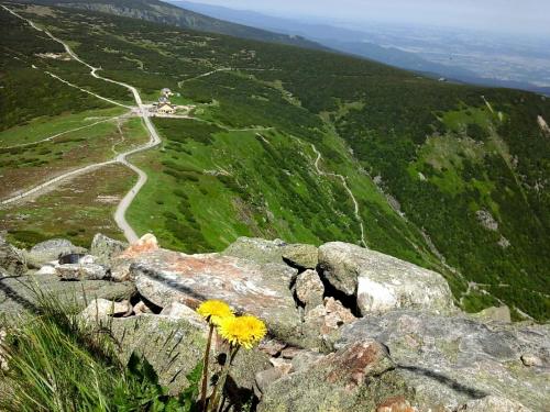 2017-06-22 17.10.46.jpg