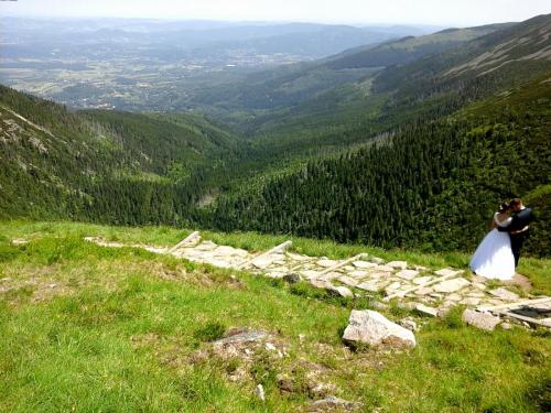 2017-06-22 17.10.10.jpg