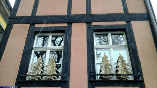 2017-01-04 17.42.42.jpg