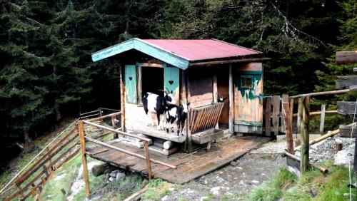 2016-05-13 15.25.24.jpg