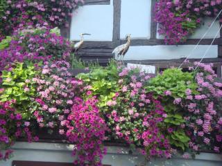 DSC05764.JPG