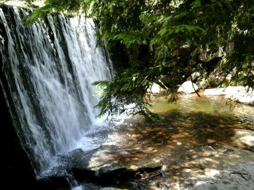 2017-06-22 17.16.12.jpg