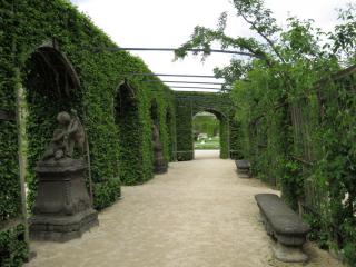 IMG_1374.JPG