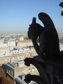 DSC05526.JPG