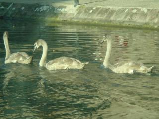 DSC05808.JPG