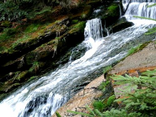 2017-06-23 19.15.58.jpg