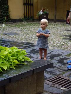 IMGP6131.JPG