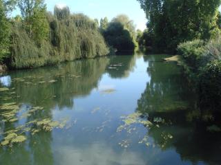 DSC05422.JPG