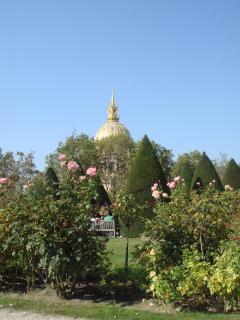 DSC05636.JPG