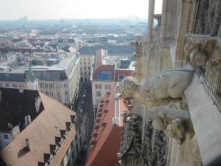 IMG_4825.JPG