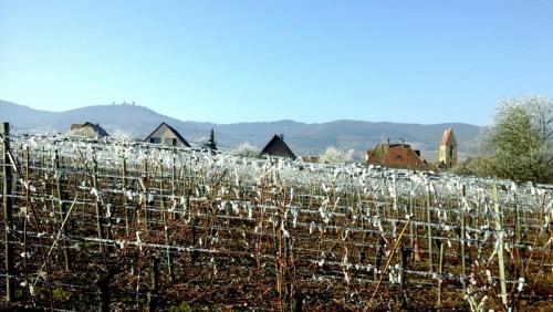 2017-01-01 16.21.05.jpg