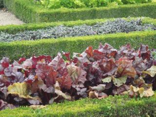 DSC05387.JPG