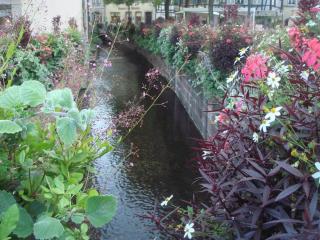 DSC05788.JPG