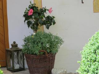 IMG_0779.JPG