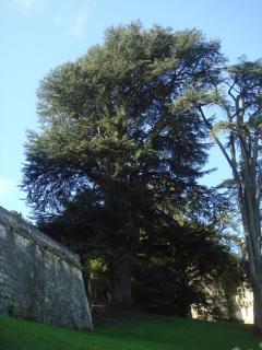 DSC05415.JPG