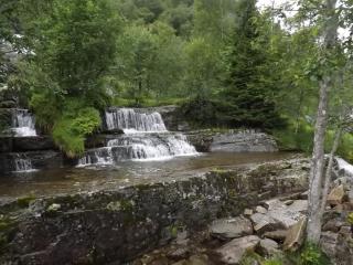 DSCF0412.JPG
