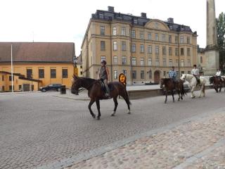 DSCF0339.JPG