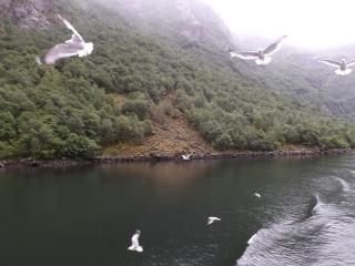 DSCF0386.JPG