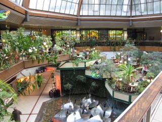 IMG_2383.JPG