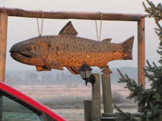 IMG_2061.JPG