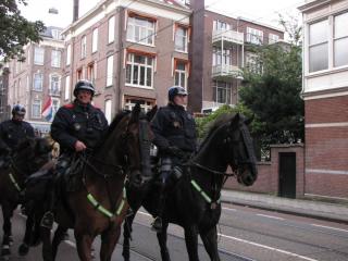 IMG_2560.JPG