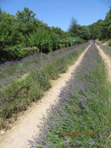 2 AS, 1 часть 2156.JPG