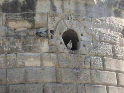 2 AS, 1 часть 2365.JPG