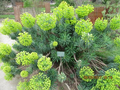 март, париж 1066.JPG