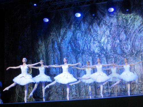 Лебединое озеро 170.JPG