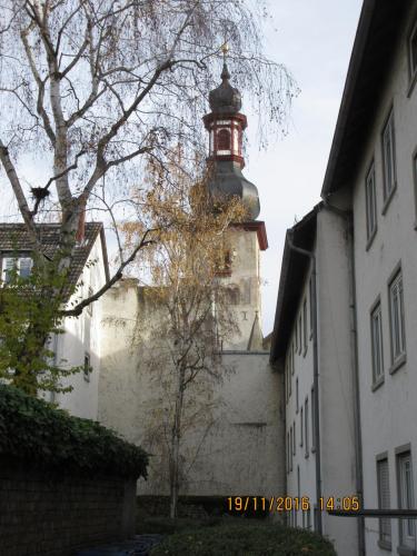 Божоле 2016 2222.JPG