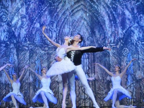 Лебединое озеро 206.JPG