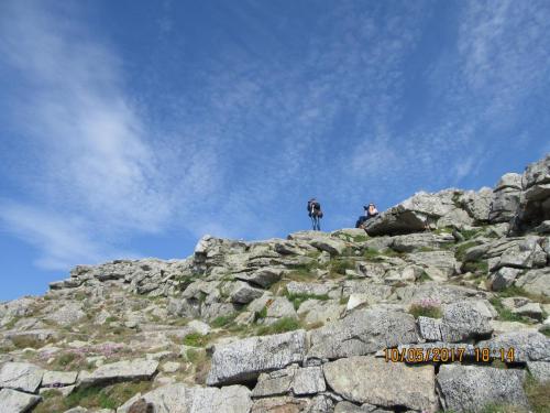 Нов. Ароматы 2 2320.JPG