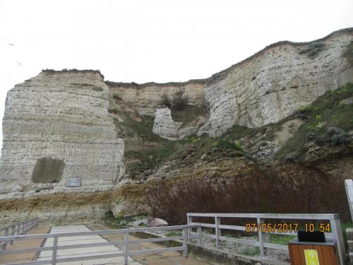 Нов. Ароматы 2 891.JPG