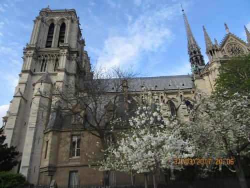 март, париж 2291.JPG